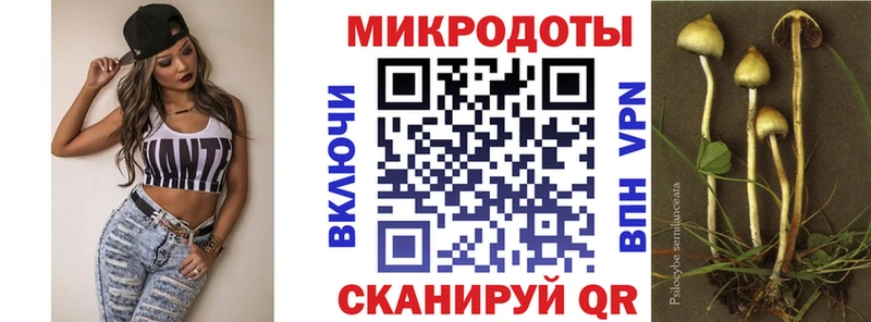 Галлюциногенные грибы Psilocybine cubensis Благодарный