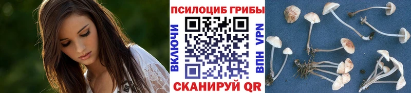 Галлюциногенные грибы прущие грибы  Благодарный 